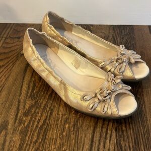 The Flexx women’s metallic shoes, size 10